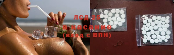 дживик Баксан